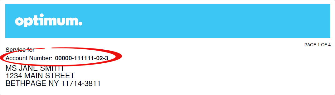 OPT.png